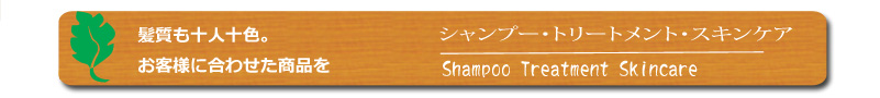Shampoo treatment Skincare